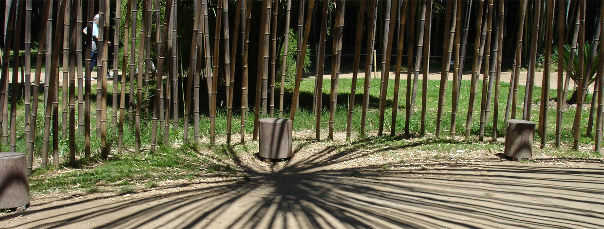 Bild mit bambus